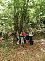 Descansant davant d'un dels faigs més grans d'aquesta fageda