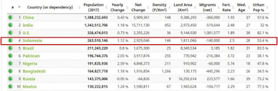  인도네시아의 인구수