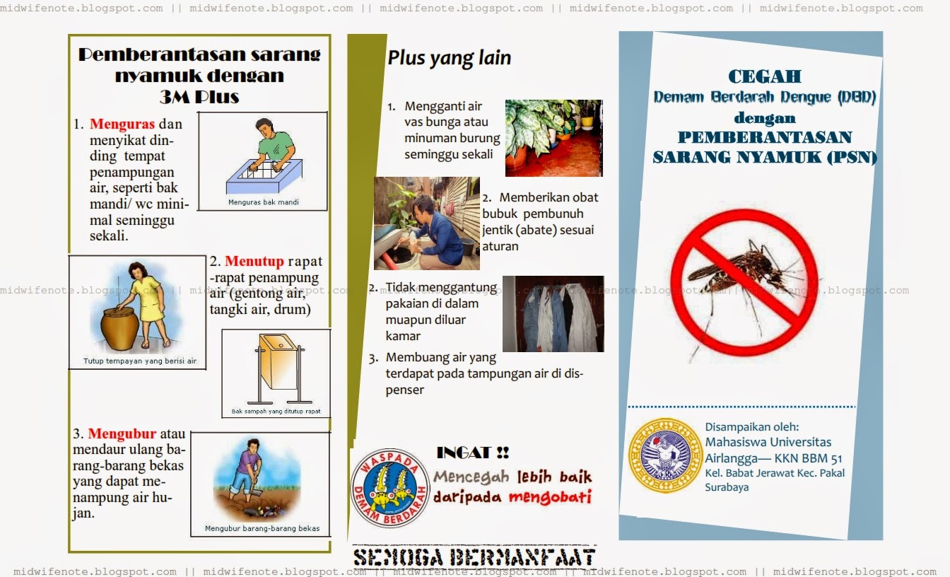 Kumpulan Materi Kebidanan: Leaflet Demam Berdarah Dengue 