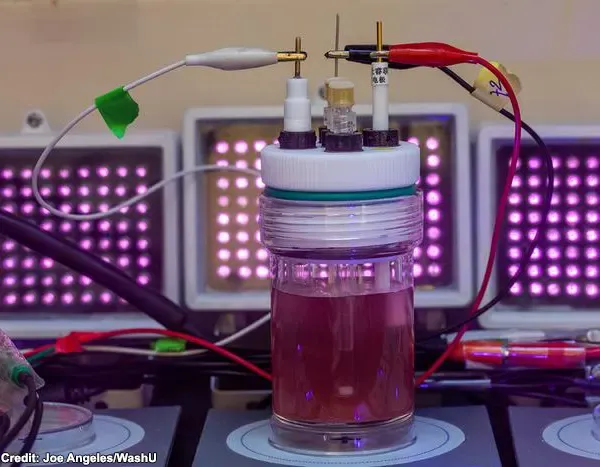 Turning Rhodomicrobium bacteria into bioplastic factories