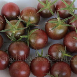 Black Cherry paradajky