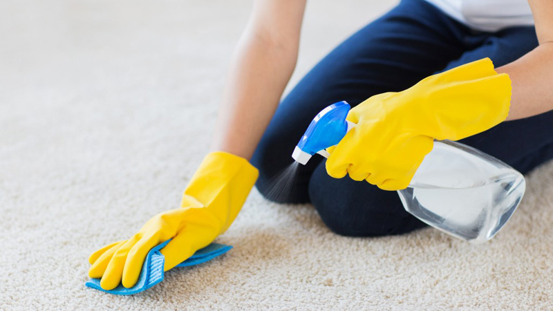 9 DIY Solutions for Carpet Stains