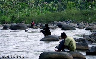 Cara Mancing Ikan Mas Di Sungai