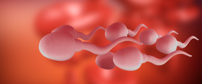 Decreased sperm: the most important causes