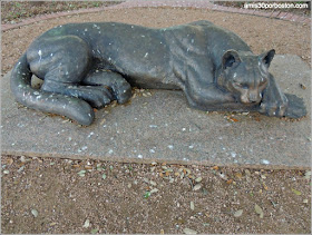 Sleeping Panther, Fort Worth