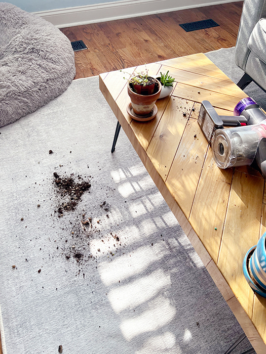 spilled plant dirt on new Tumble washable rug