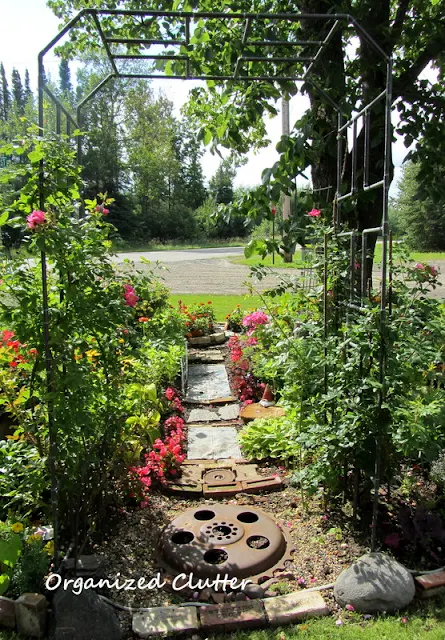 Iron Arbor with Climbing Roses and a Garden Junk Path