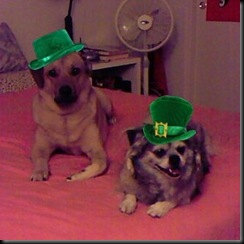 st_pat_together_3 st_pat_together_3