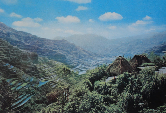 Banaue Rice Terraces postcard