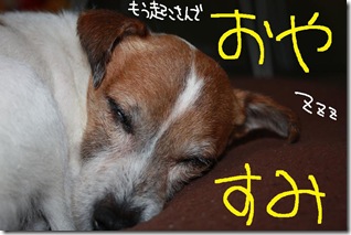 今日カズ１００４０９　３