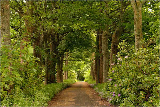 Cycling in Ayrshire