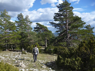 Inicio del descenso desde Cerro San Felipe