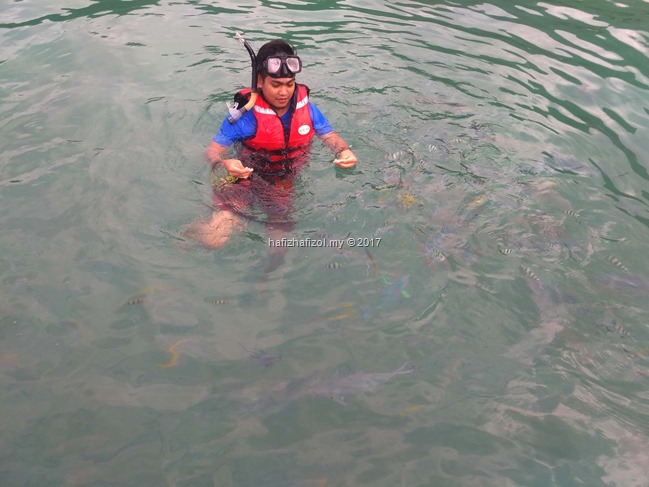 snorkeling di pusat taman laut pulau tioman