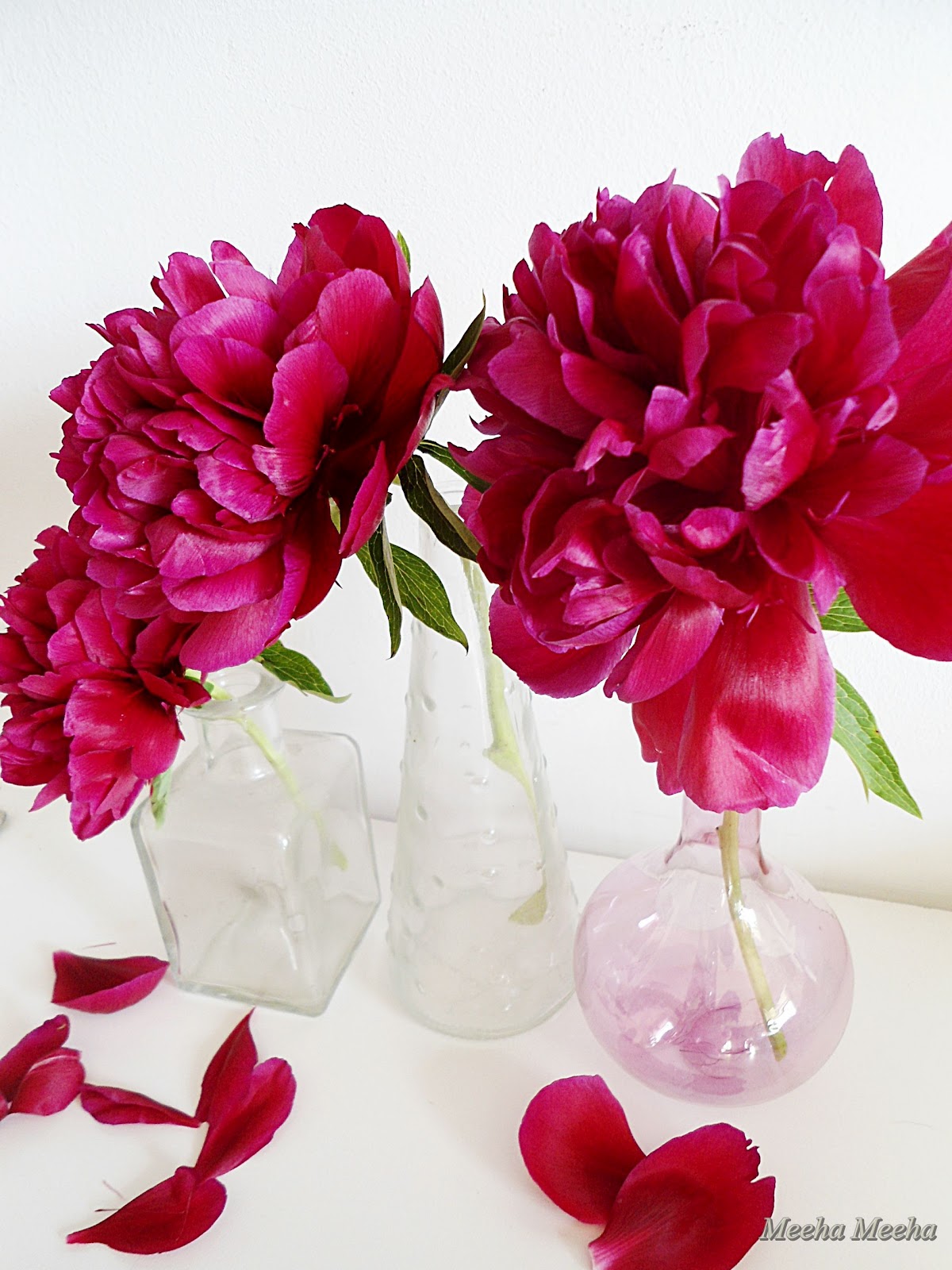 The red peonies were featured as the favorite photo of the week at ...