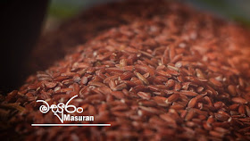 Traditional rice in sri lanka