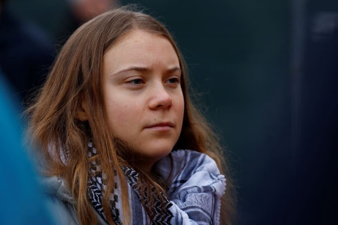 Climate activist Greta Thunberg detained at demonstration in The Hague