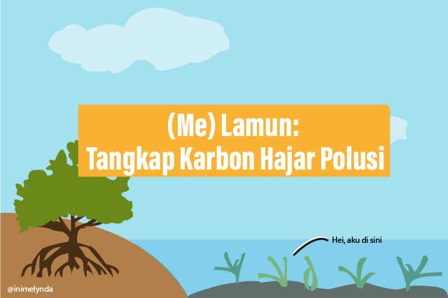 (Me) Lamun: Tangkap Karbon Hajar Polusi