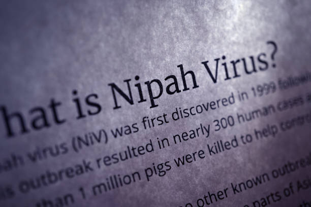A transmissão do vírus Nipah e sua relação com morcegos frugívoros