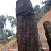 5 Stunning Photo of Shiva Linga- Ziro