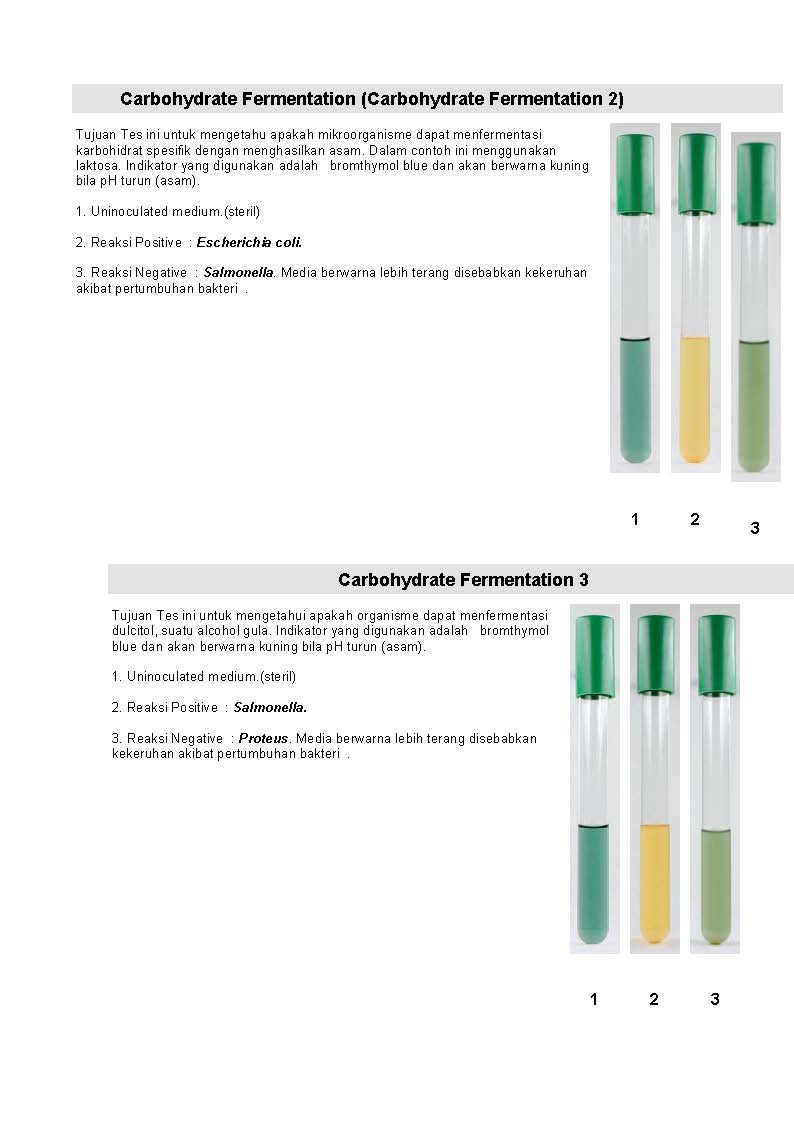 MIKROBIOLOGI UNTUK TEHNISI KESEHATAN: UJI BIOKIMIA