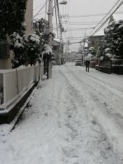 家の前の道路が雪に埋まっていた -  戦わない子育て -