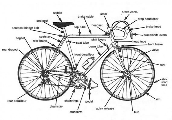 Detail of a quick release for the wheel on a racing bike: