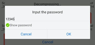 Input the password