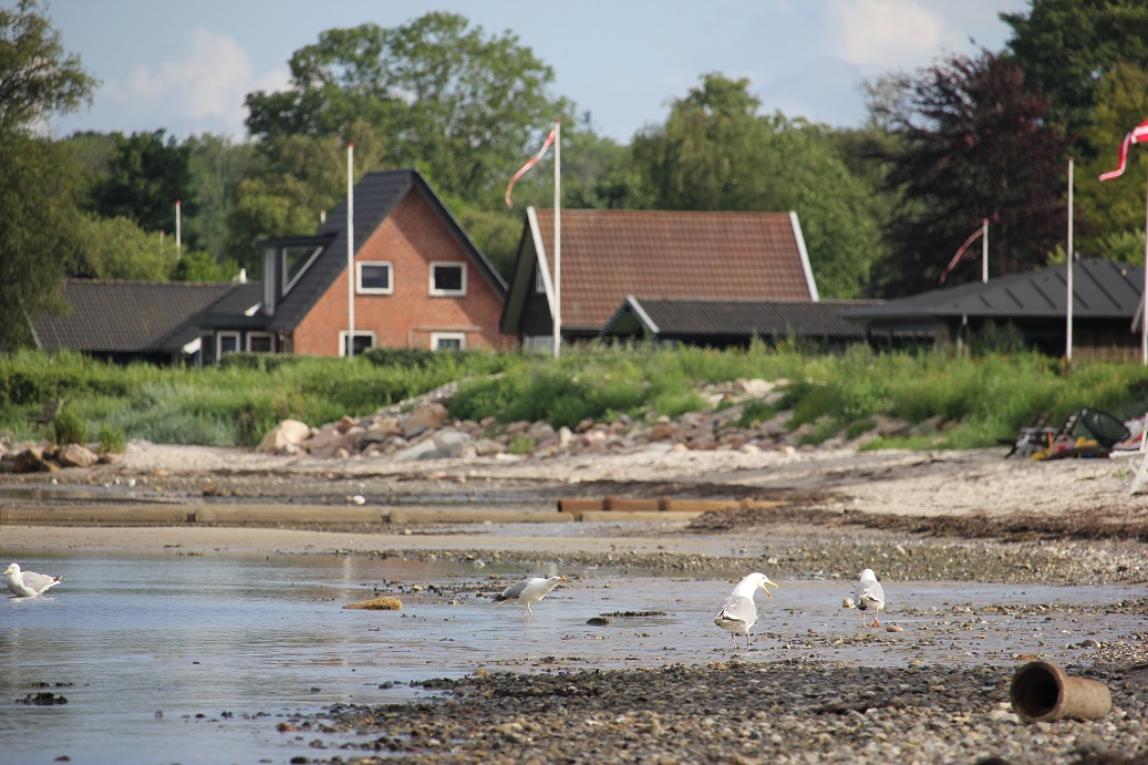 pláž a domečky v Dánsku