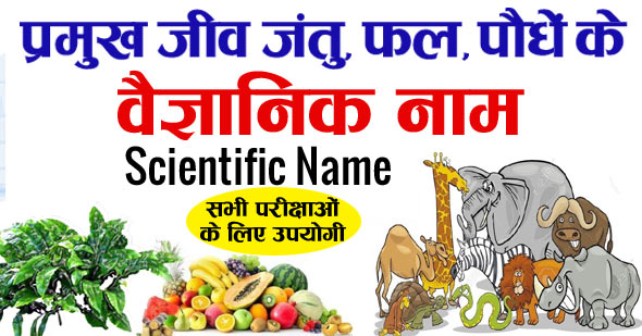 All Scientific Names -जीव-जंतु, फल, फूल, जीवों के वैज्ञानिक नाम हिंदी में PDF