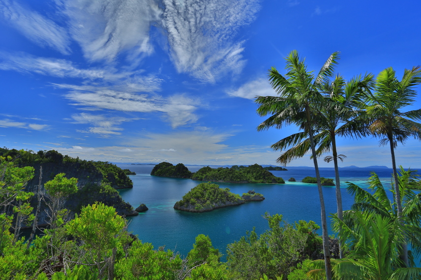 raja ampa surga wisata bahari indonesia