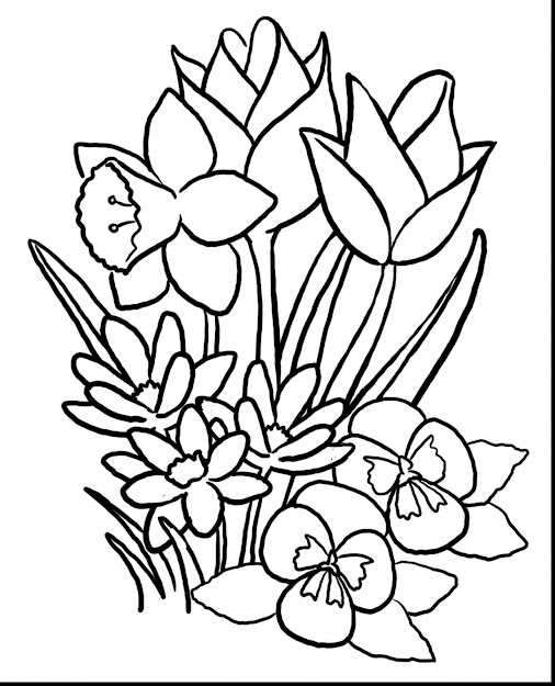 Amazing Spring Flower Coloring Pages With Spring Color Pages And Spring  Coloring Pages For Adults