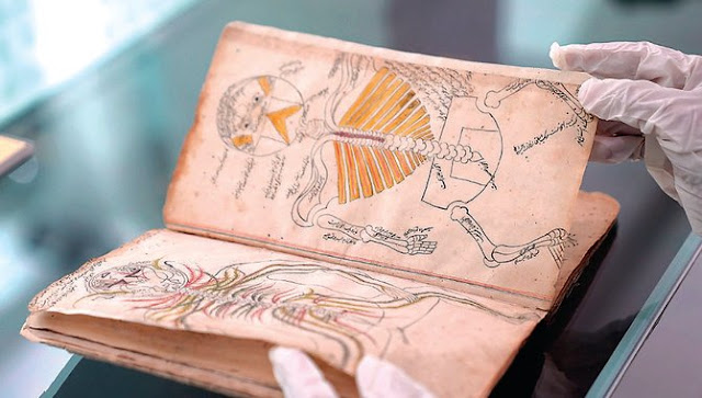 Salah satu manuskrip anatomi manusia paling langka yang berasal dari abad ke Ditemukan Manuskrip Kedokteran Islam Abad Ke-14 Yang Menjadi Rujukan Ilmuwan Eropa Saat Itu