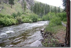 Bitterroot River 04