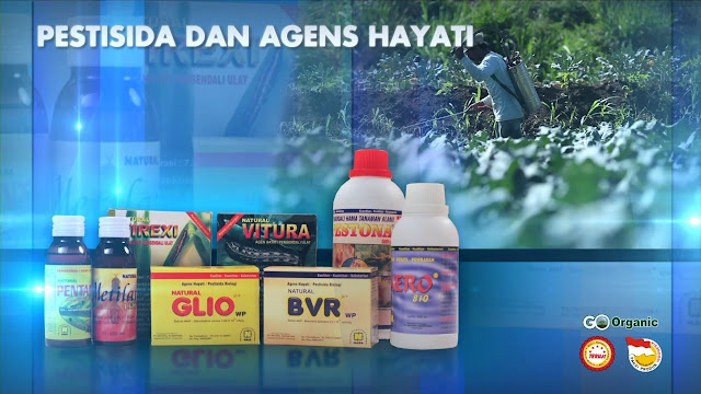 Pengendalian alami adalah pengendalian hama yang terjadi di alam tanpa campur tangan manusia . Alam terdiri atas faktor fisik atau non hayati dan hayati dapat menjadi faktor pembatas perkembangbiakan hama. Faktor non hayati misalnya iklim, tanah dan air dari suatu habitat, udara beserta oksigen dan gas lain yang diperlukan bagi kehidupan hama, dapat mendorong atau menekan perkembangbiakan hama. 