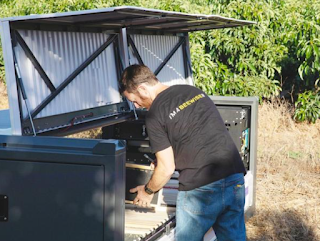 Revolutionizing Beekeeping The Future of Sustainable Honeybee Colonies