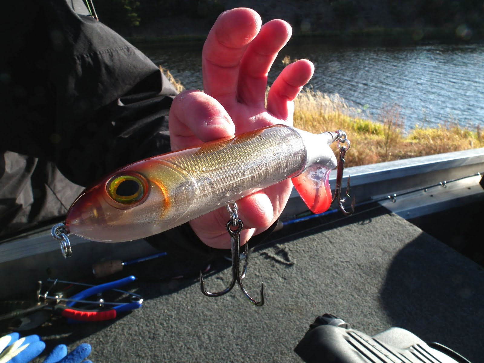 OUTDOORS NM: Trophy Tiger Muskies in Quemado, Bluewater Lakes make