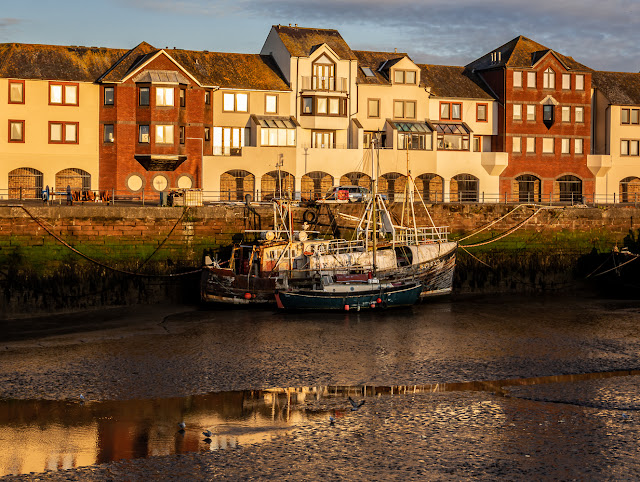 Photo of Maryport Harbour bathed in golden evening light