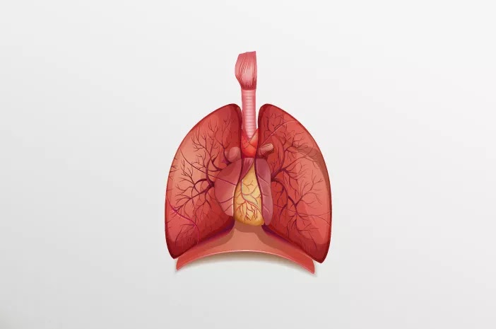 These are 5 diseases that attack the lungs