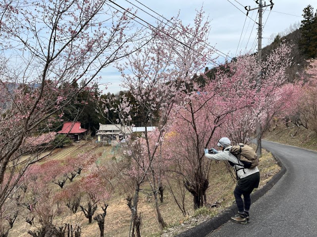 皆谷バス停からの道