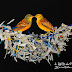 Dessin De Nid D'oiseau / Coloriage oiseau nid - JeColorie.com