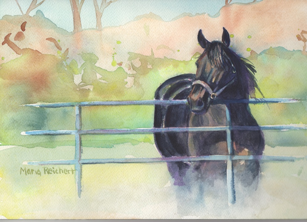 Maria S Watercolor On The Dark Side Watercolor Painting Of Black Horse