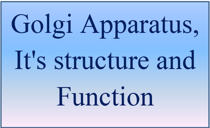 Golgi Apparatus, It's structure and Function
