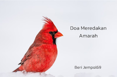 doa-meredakan-amarah.jpg