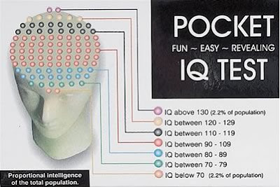 Official iq test