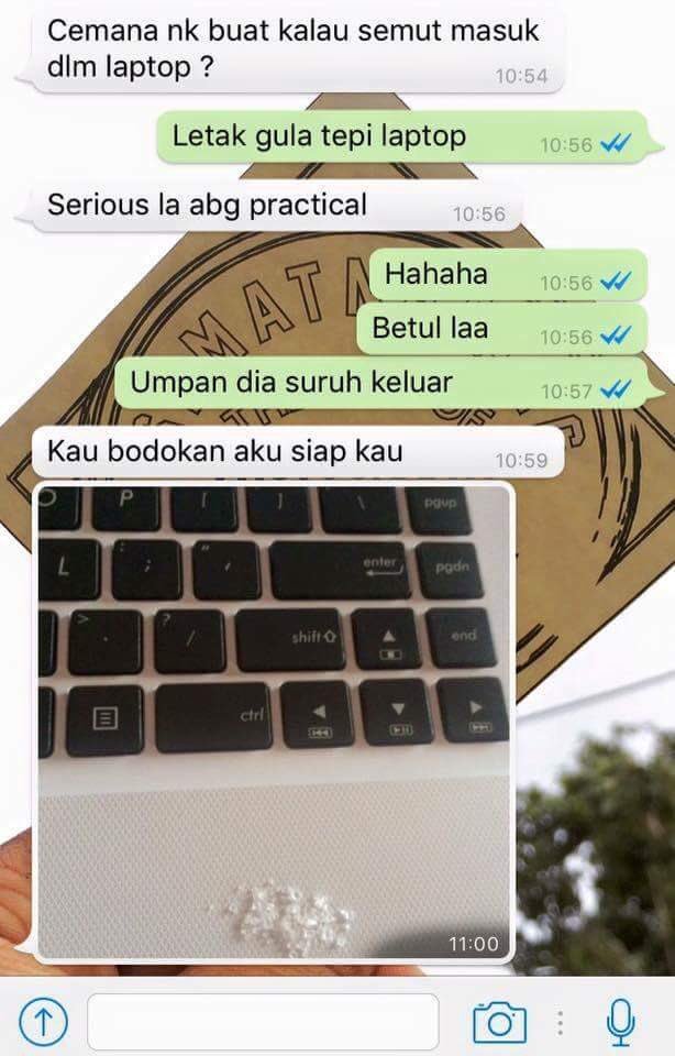 Tips Keluarkan Semut Dari Dalam Laptop ~ Wordless Wednesday