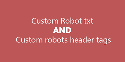 custom robot txt