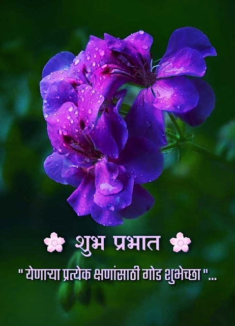 Love Good Morning Images Marathi