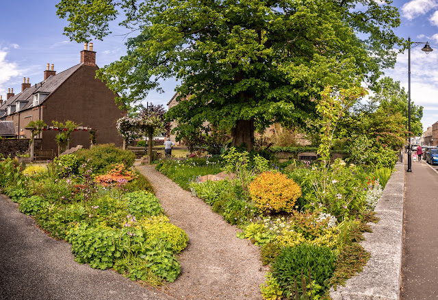 Photo of an attractive garden near Kirkcudbright Parish Church