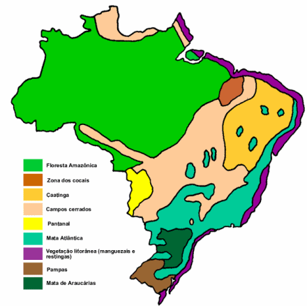 Os Principais Ecossistemas Brasileiros 