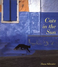Cats in the Sun
